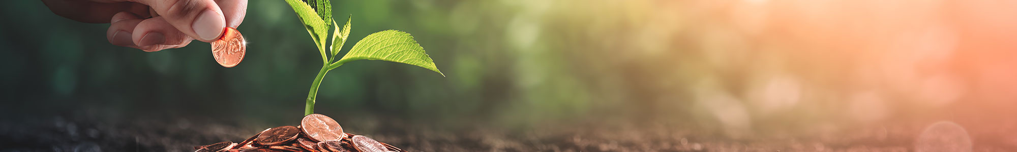 SavingsBanner
